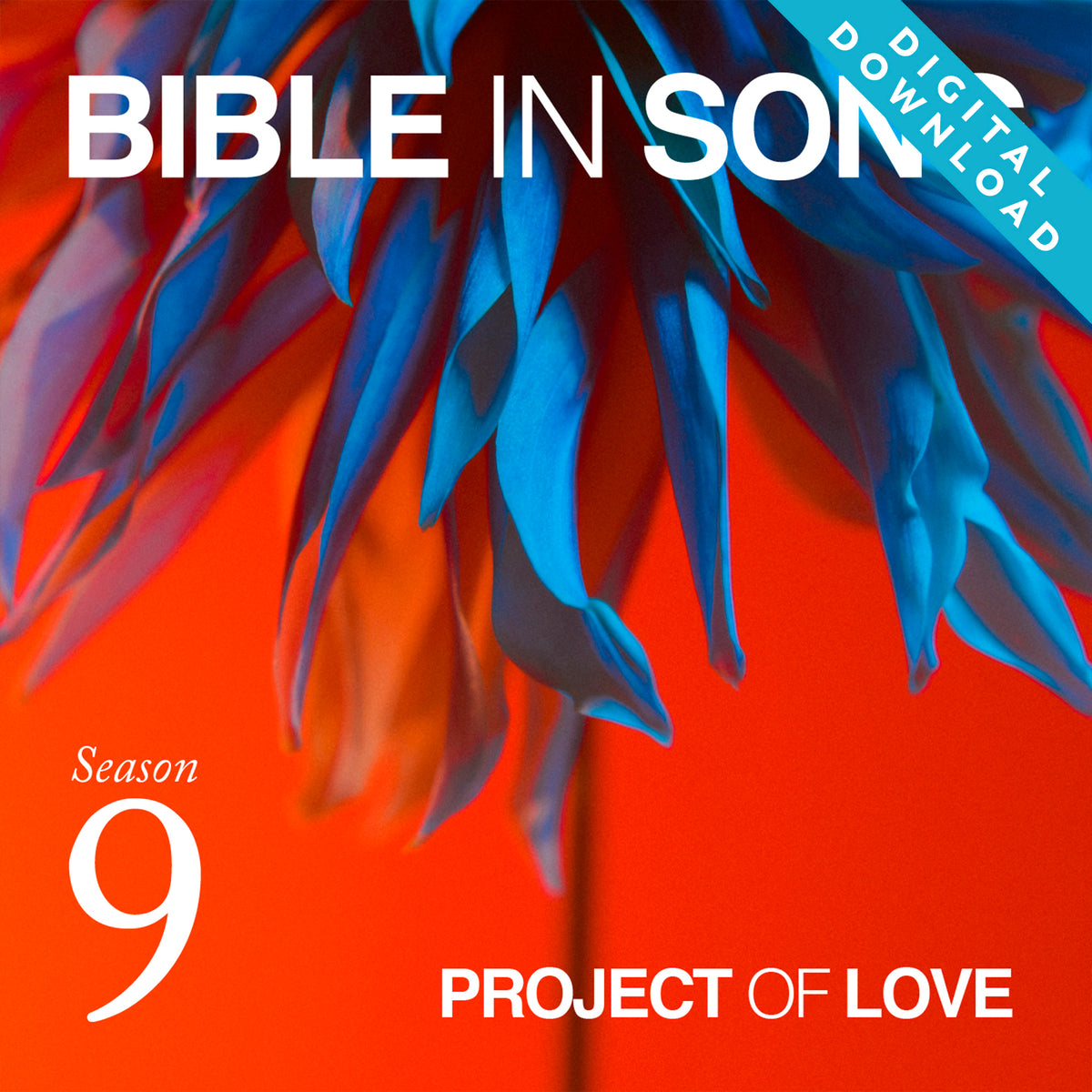 Digital album - Season 9 (February 2026 - August 2026)