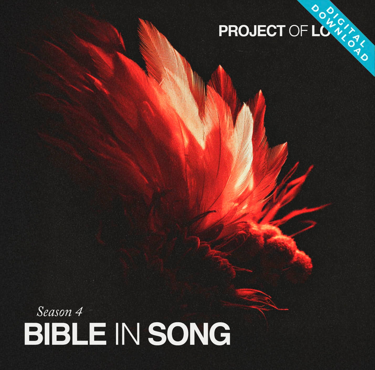 Digital album - Season 4 (May 2024 - Oct. 2024)