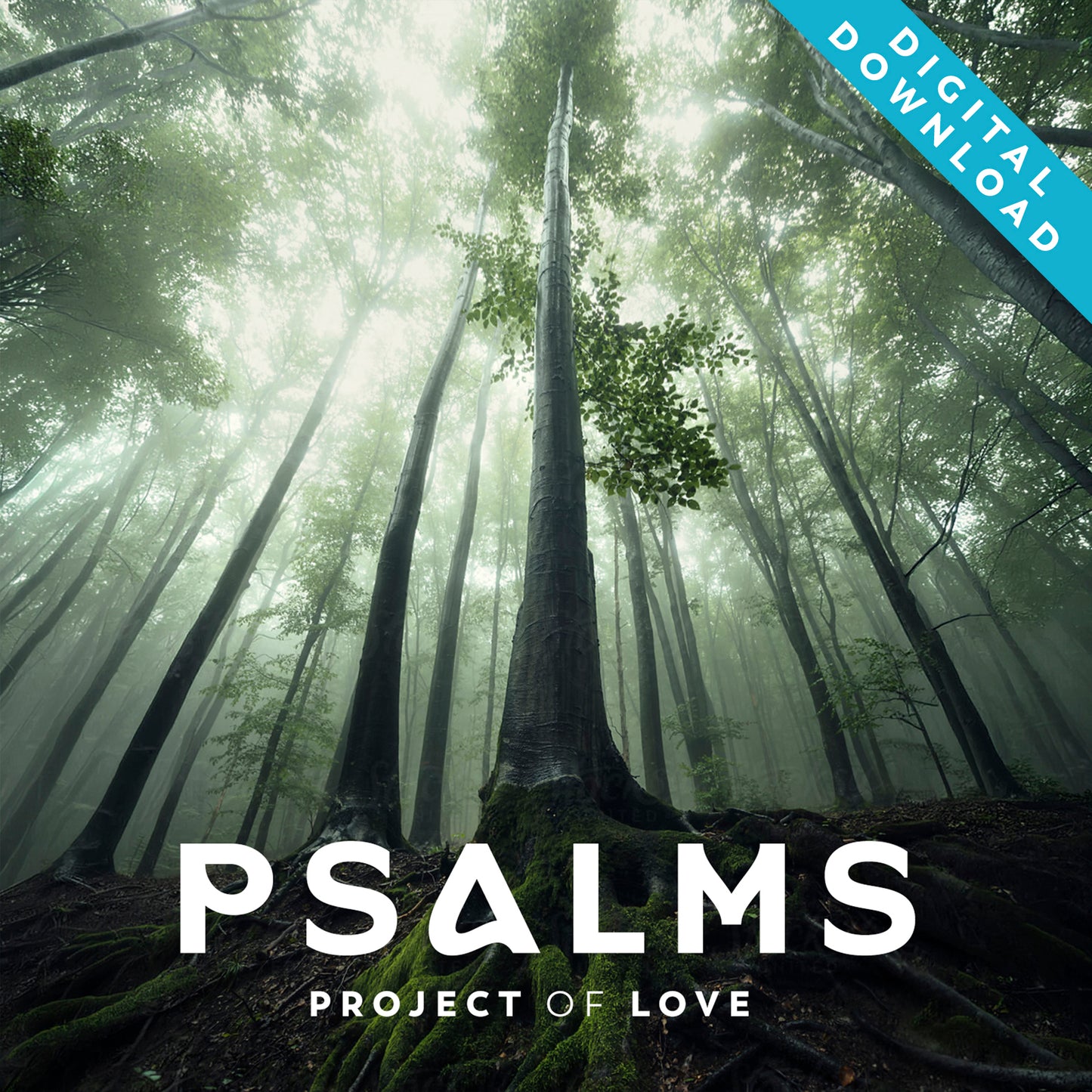 Digital album 'Psalms' - Season 2 (June 2023 - Nov. 2023)