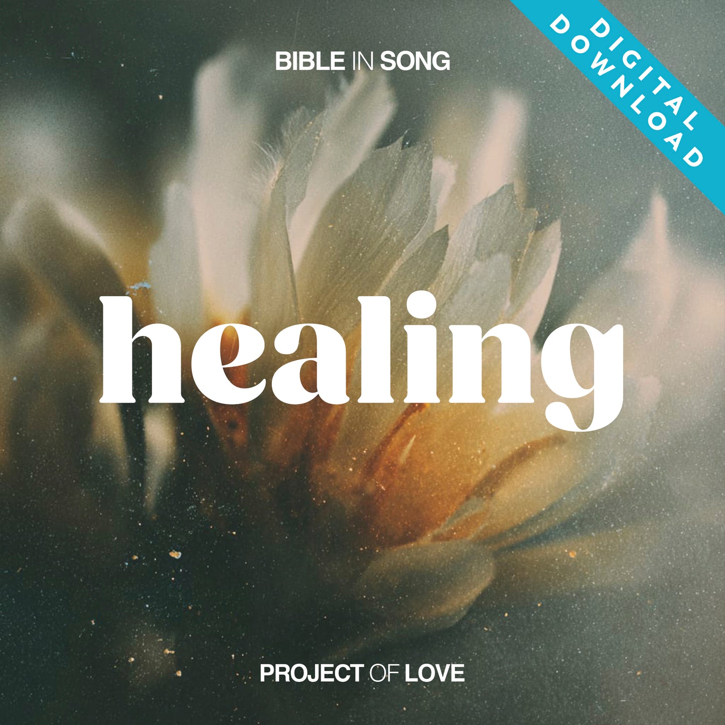 Digital album - Healing