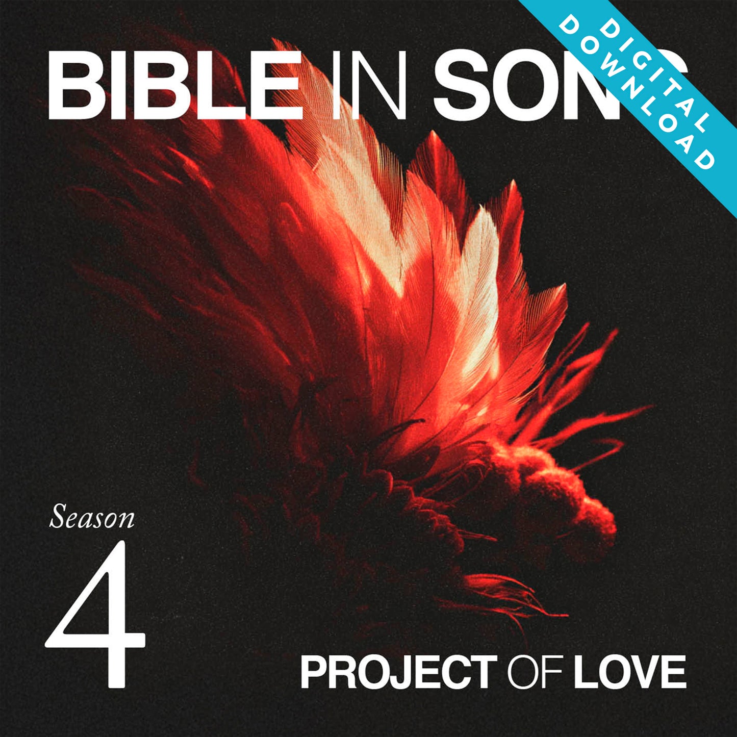 Digital album - Season 4 (May 2024 - Oct. 2024)